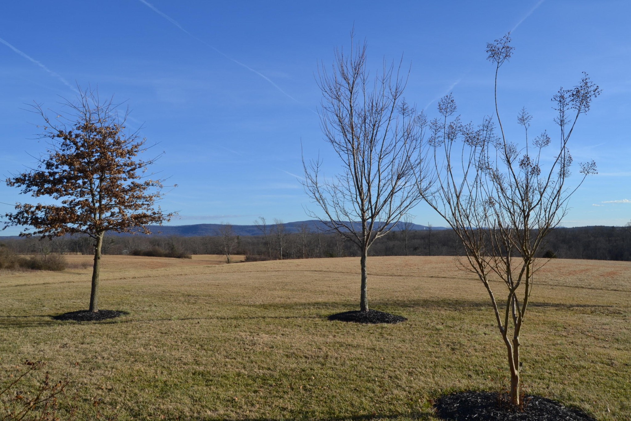2480 Pigeon Ridge Road Crossville, TN 38555 - Photo 4 of 40 Gallery Image 4