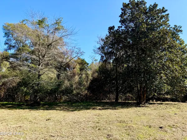 $120,000 | 0 Hwy 2a Westville, Westville, FL 32464