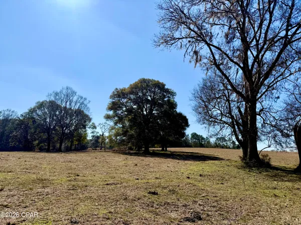 $120,000 | 0 Hwy 2a Westville, Westville, FL 32464