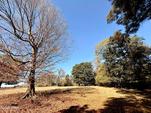 $120,000 | 0 Hwy 2a Westville, Westville, FL 32464