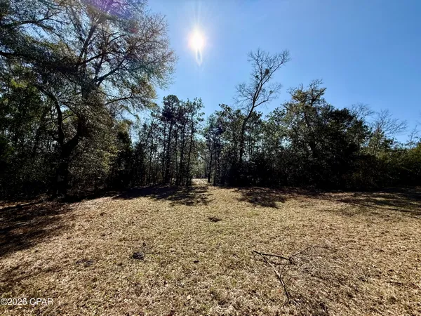 $120,000 | 0 Hwy 2a Westville, Westville, FL 32464