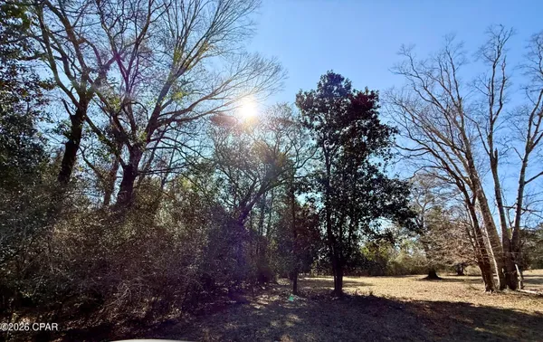 $120,000 | 0 Hwy 2a Westville, Westville, FL 32464