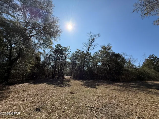 $120,000 | 0 Hwy 2a Westville, Westville, FL 32464