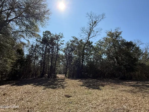 $120,000 | 0 Hwy 2a Westville, Westville, FL 32464