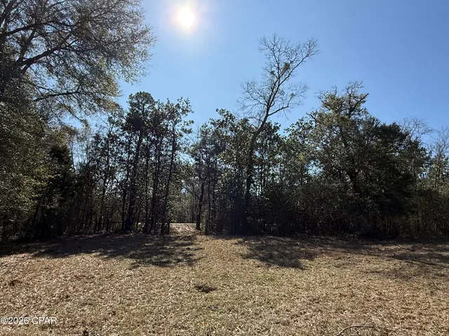 $120,000 | 0 Hwy 2a Westville, Westville, FL 32464