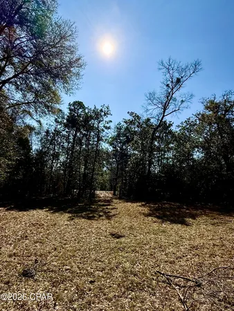 $120,000 | 0 Hwy 2a Westville, Westville, FL 32464