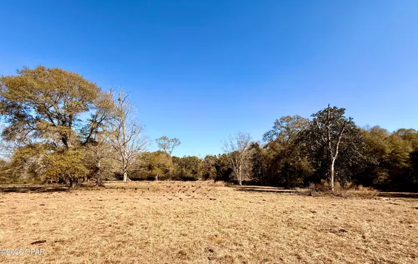 $120,000 | 0 Hwy 2a Westville, Westville, FL 32464