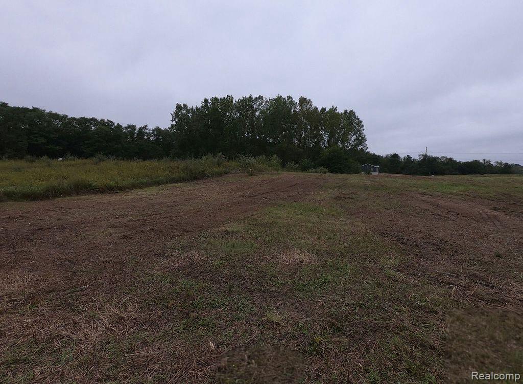 0 Pingree Road Howell, MI 48843 - Photo 2 of 6 3.jpg
