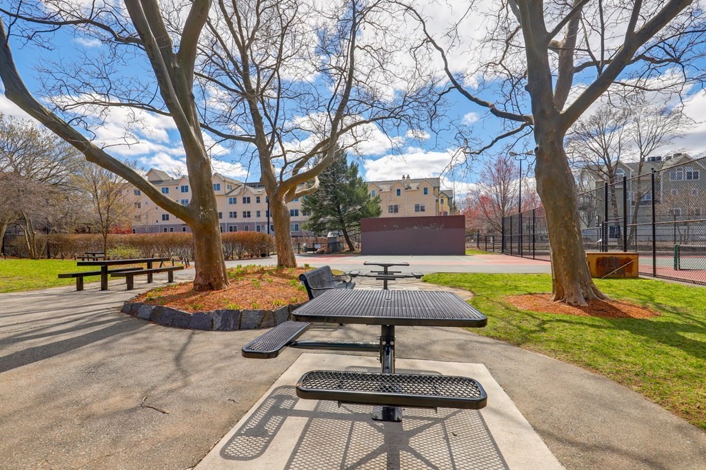 18 Yerxa Road, Unit 2 Cambridge, MA 02140 - Photo 35 of 36 Gallery Image 35