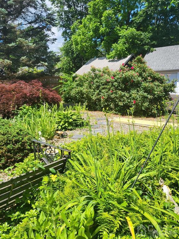 352 Front Street Dunellen, NJ 08812 - Photo 10 of 46 a view of a yard with plants and large trees