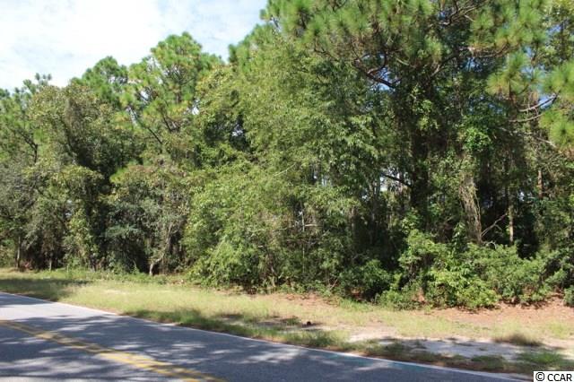 Lot C Flossie Road Conway, SC 29527 - Photo 1 of 1 Gallery Image 1