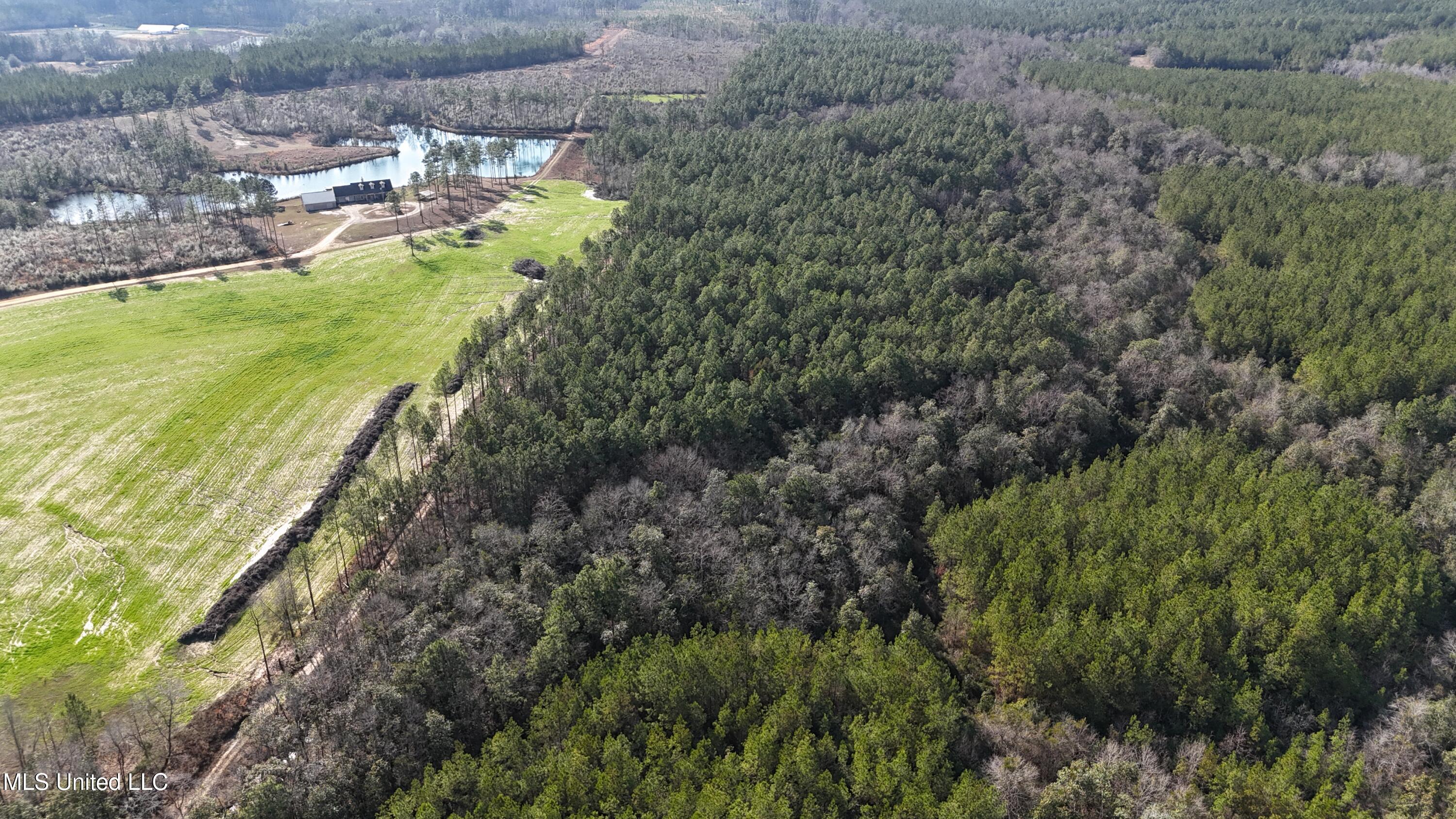 1773 Ridge Road Perkinston, MS 39573 - Photo 22 of 47 DJI_20250209145343_0020_D