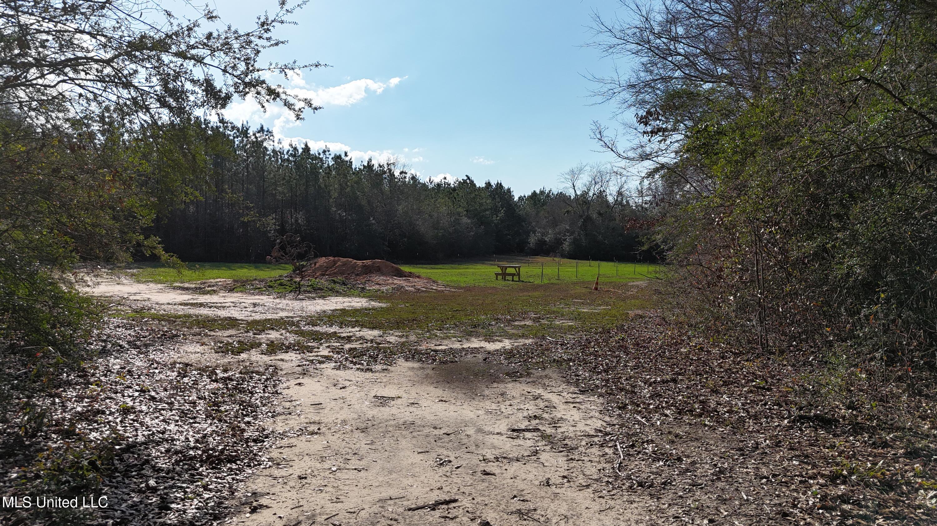 1773 Ridge Road Perkinston, MS 39573 - Photo 30 of 47 DJI_20250209150346_0032_D