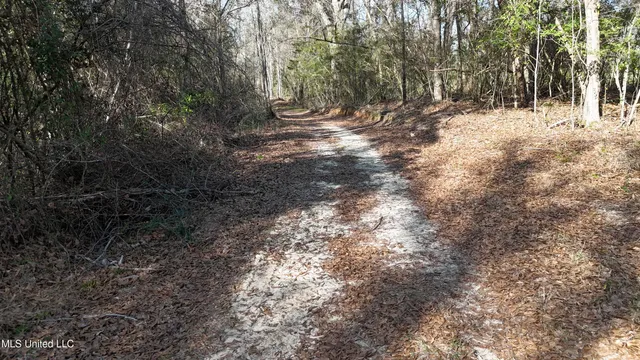 $1,395,000 | 1773 Ridge Road, Perkinston, MS 39573