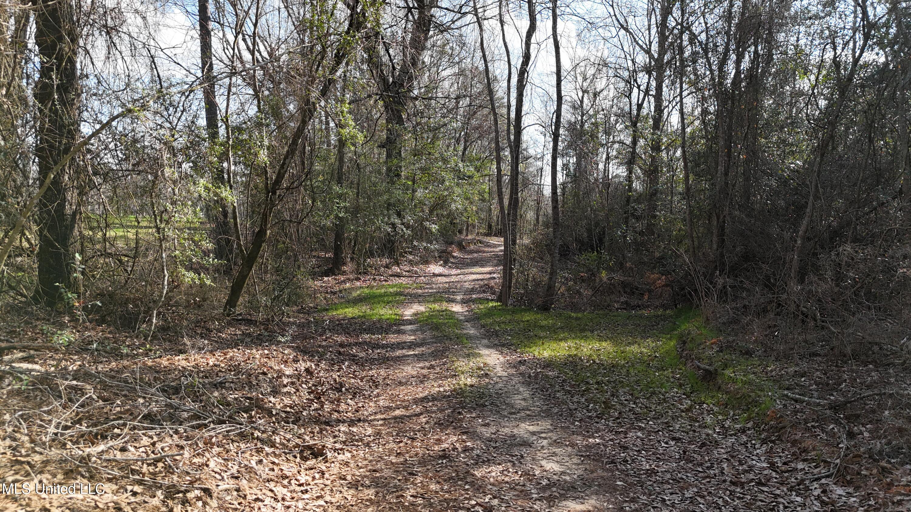 1773 Ridge Road Perkinston, MS 39573 - Photo 37 of 47 DJI_20250209151235_0052_D