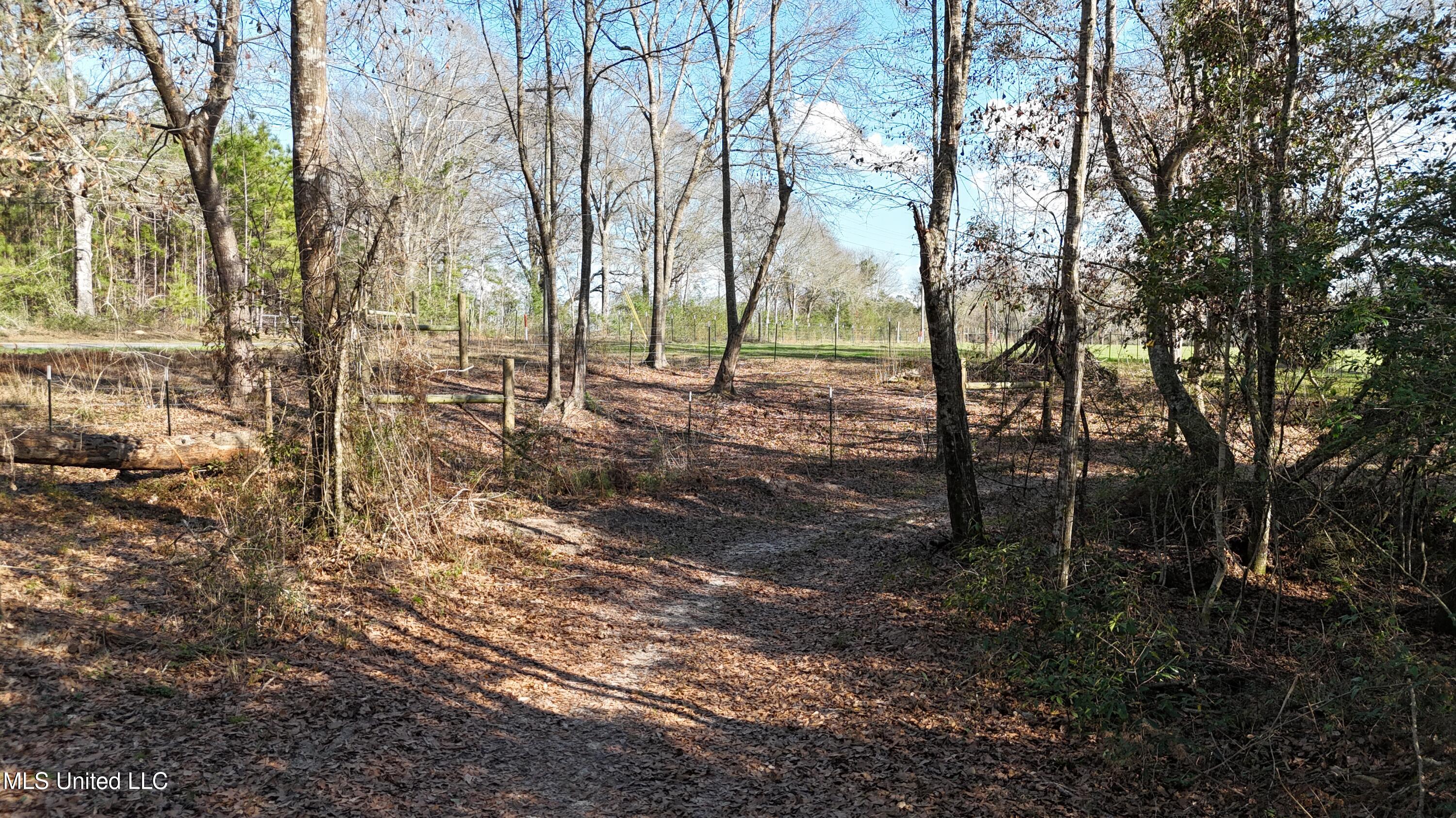 1773 Ridge Road Perkinston, MS 39573 - Photo 38 of 47 DJI_20250209151348_0055_D