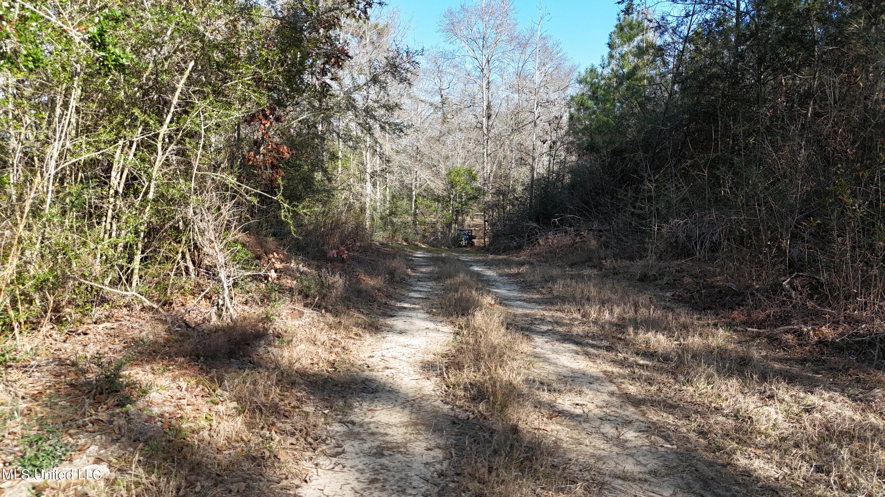 1773 Ridge Road Perkinston, MS 39573 - Photo 39 of 47 DJI_20250209151501_0058_D