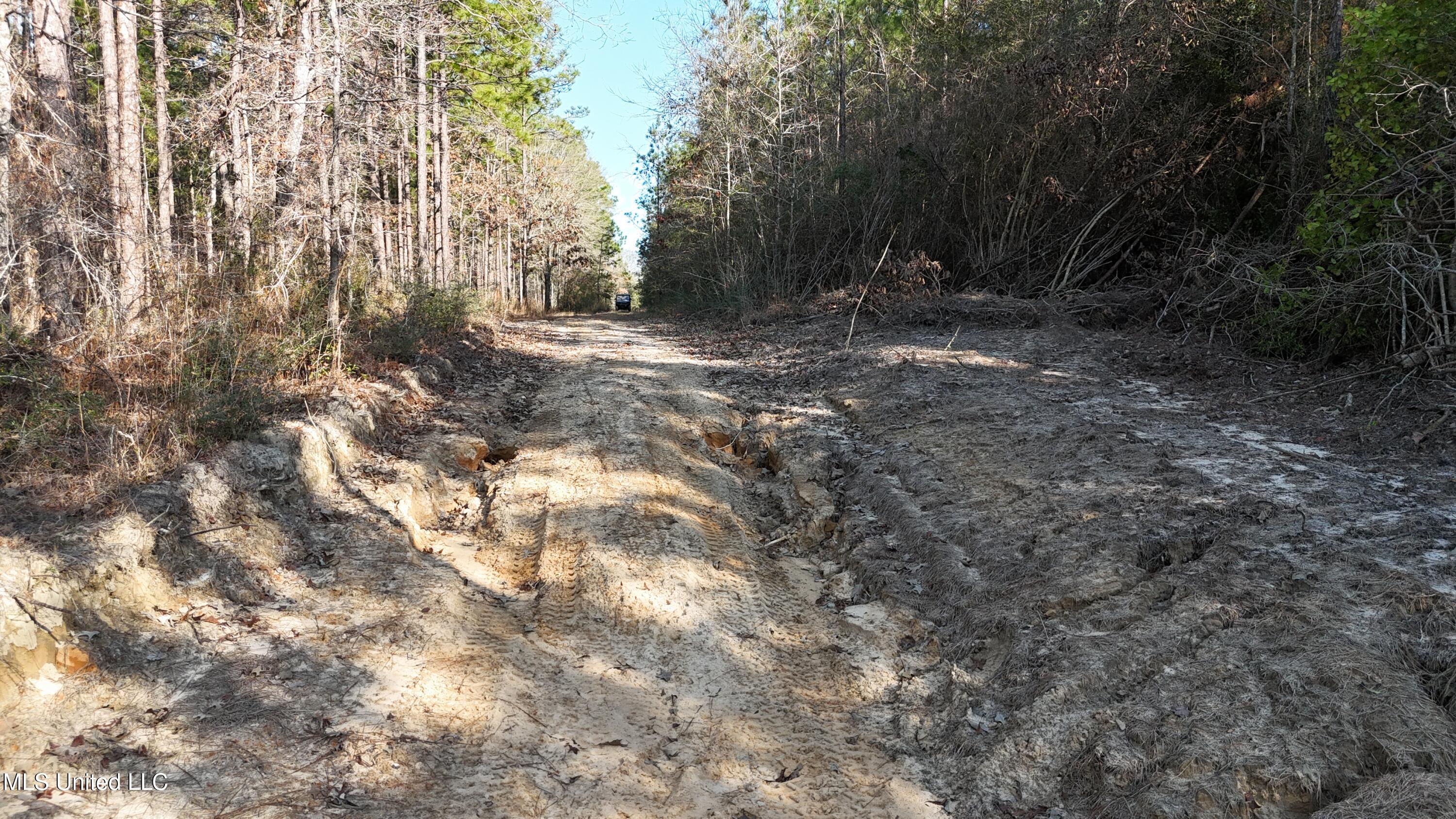 1773 Ridge Road Perkinston, MS 39573 - Photo 41 of 47 DJI_20250209151950_0070_D