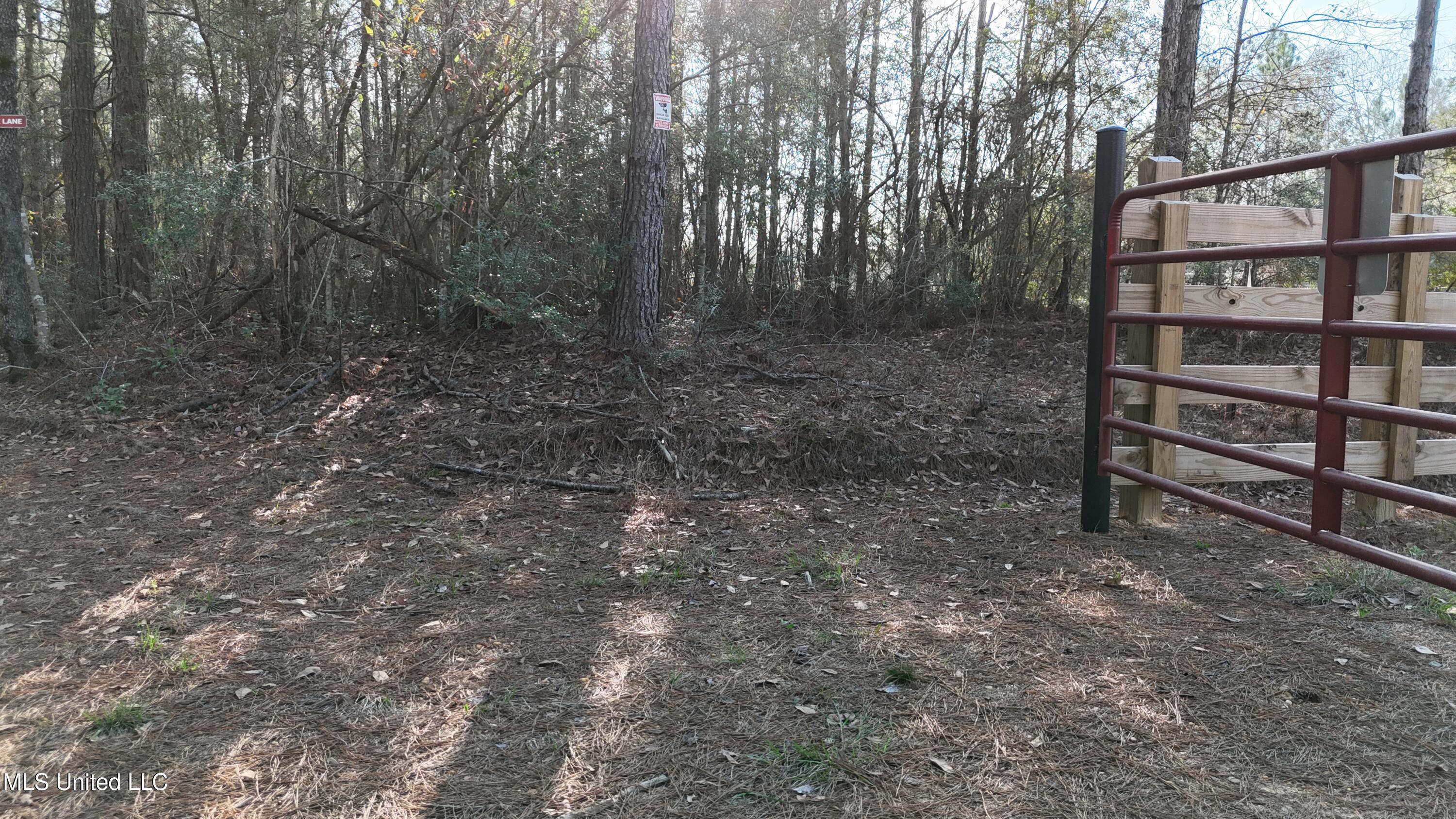 1773 Ridge Road Perkinston, MS 39573 - Photo 42 of 47 DJI_20250209152748_0082_D