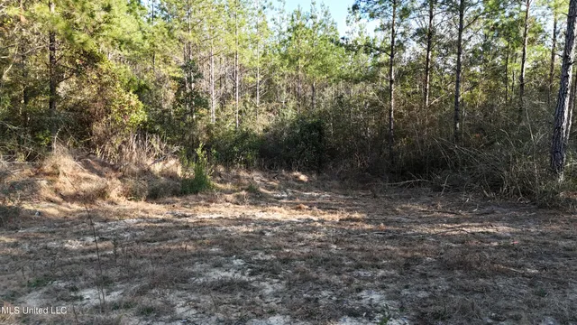 $1,395,000 | 1773 Ridge Road, Perkinston, MS 39573