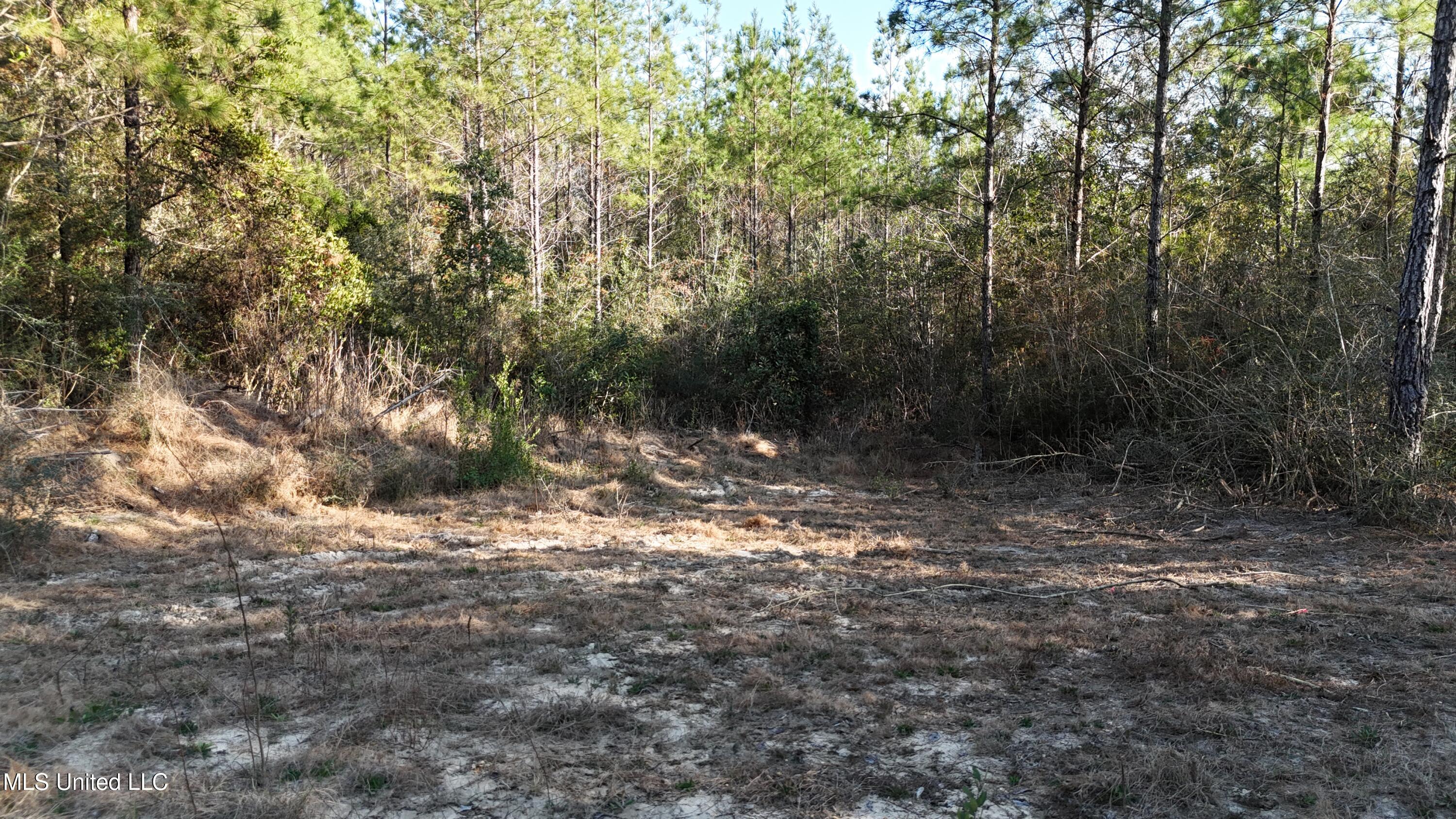 1773 Ridge Road Perkinston, MS 39573 - Photo 44 of 47 DJI_20250209153214_0094_D