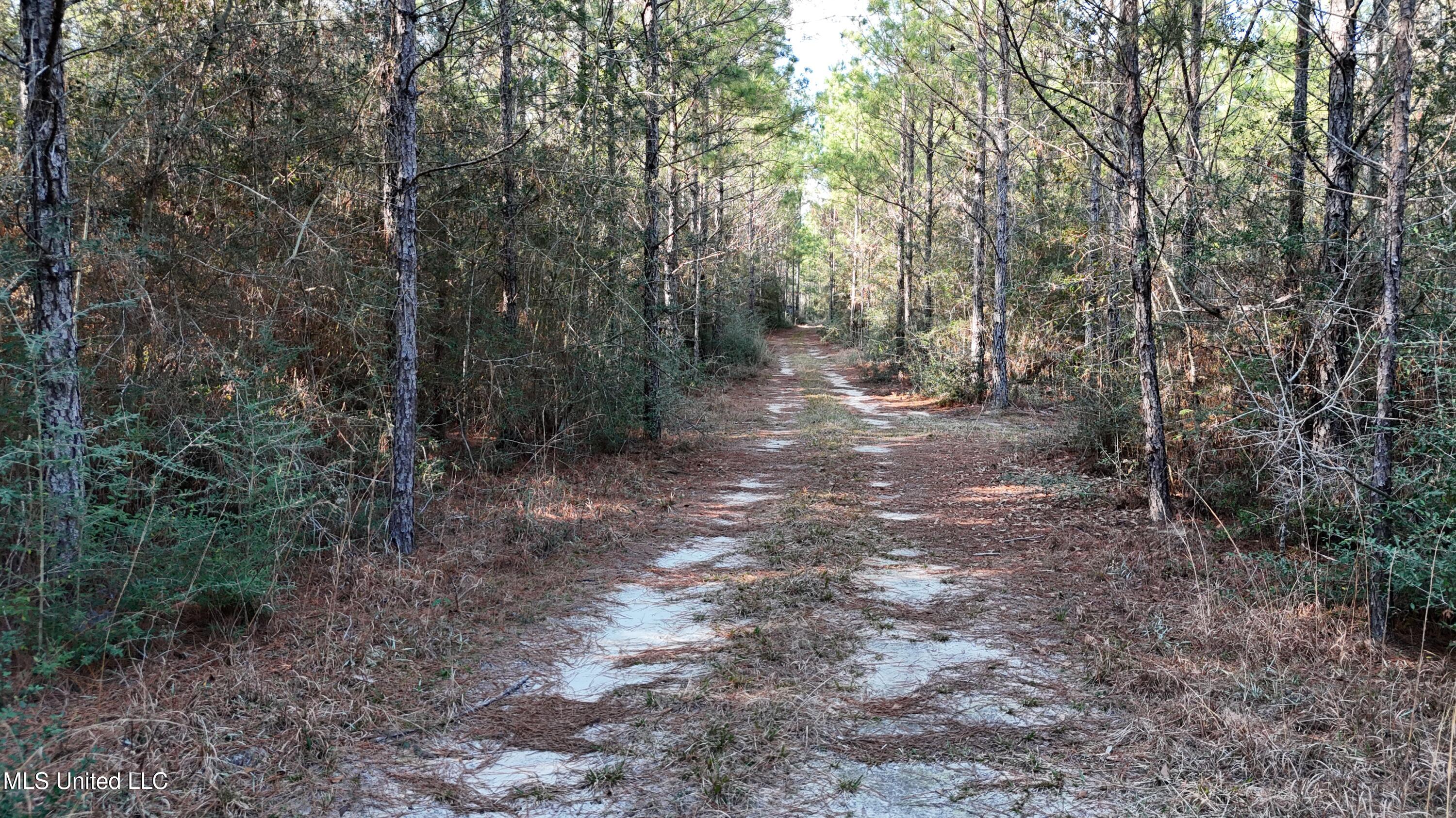 1773 Ridge Road Perkinston, MS 39573 - Photo 45 of 47 DJI_20250209153948_0110_D