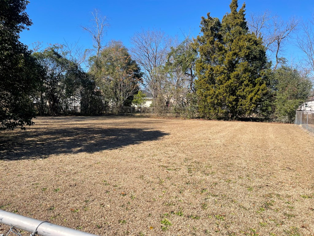 306 Chestnut Street Darlington, SC 29532 - Photo 10 of 36 Gallery Image 10