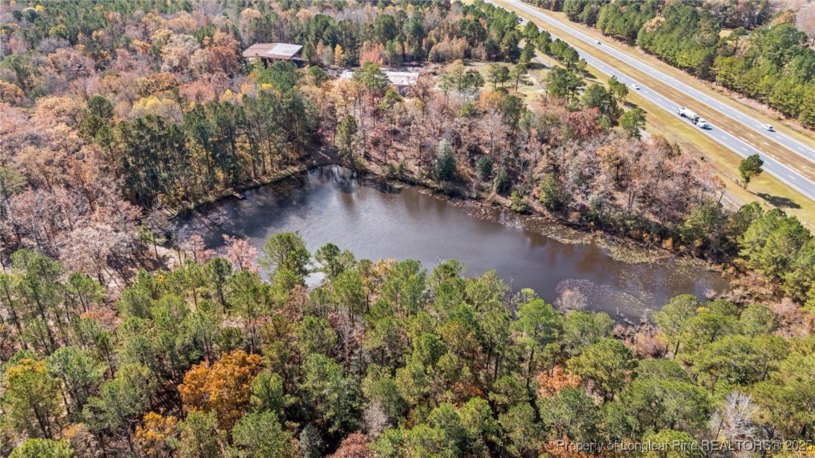 a view of a yard with plants and a bench