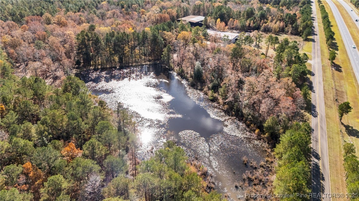 0 Saw Ml Road Cameron, NC 28326 - Photo 2 of 11 a view of a yard with plants and trees