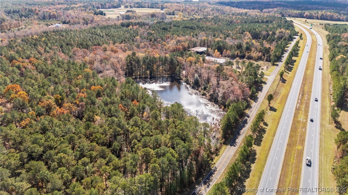 0 Saw Ml Road Cameron, NC 28326 - Photo 3 of 11 a view of a city