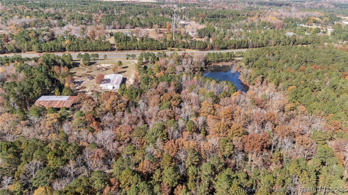 0 Saw Ml Road Cameron, NC 28326 - Photo 8 of 11 a view of lake