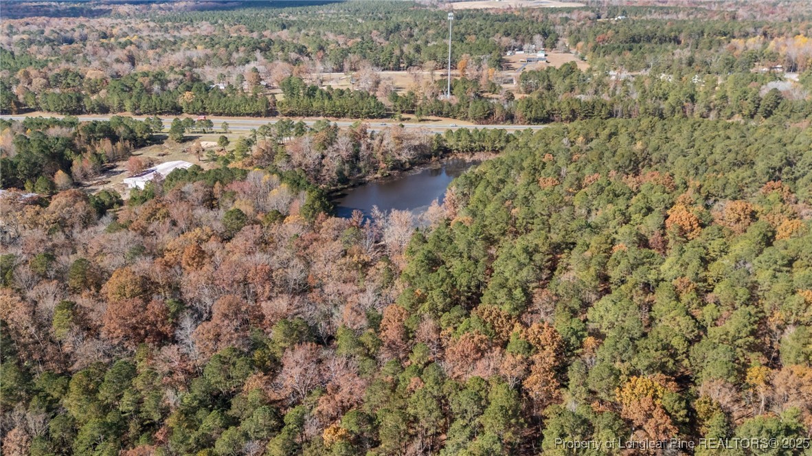 0 Saw Ml Road Cameron, NC 28326 - Photo 9 of 11 an aerial view of residential houses with outdoor space and trees