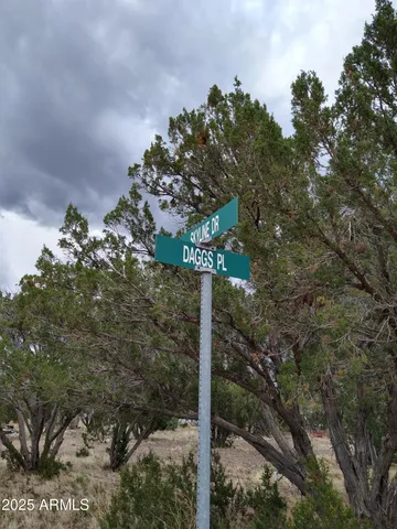 a street sign on a pole next to a road