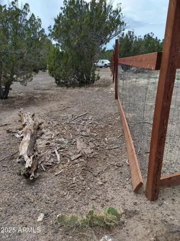 a view of a yard with plants