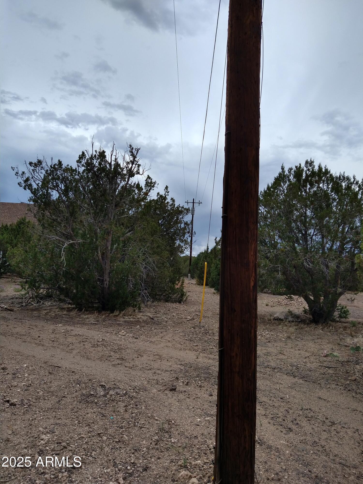 1827 Daggs Place, Unit 29 Show Low, AZ 85901 - Photo 12 of 22 a view of a yard with plants