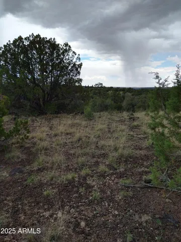a view of a lake with lots of trees