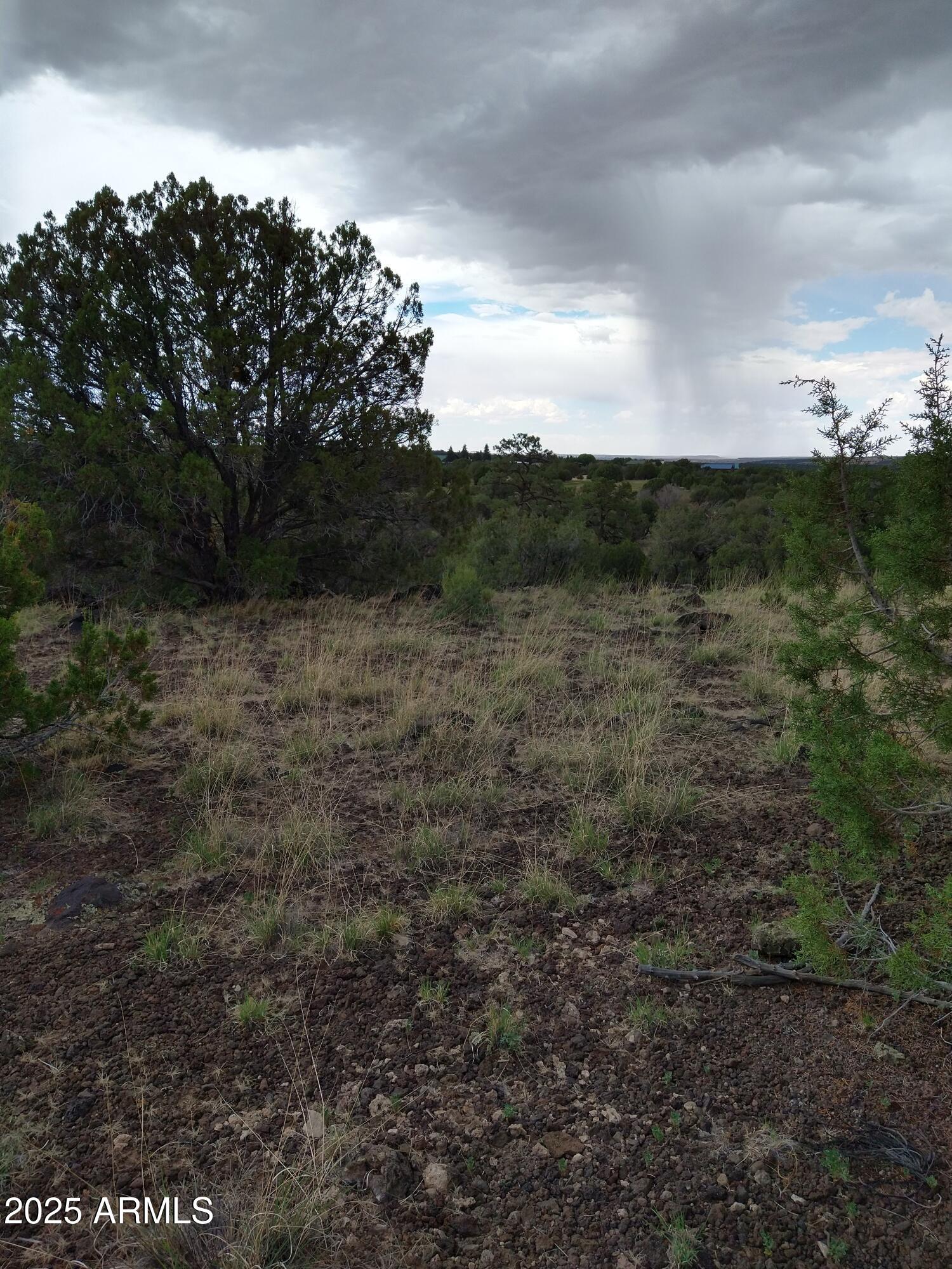 1827 Daggs Place, Unit 29 Show Low, AZ 85901 - Photo 13 of 22 a view of mountain with sunset