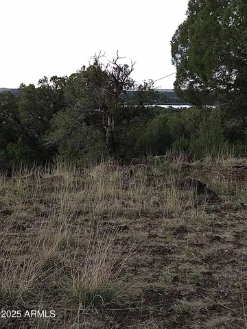 a street sign that is on a pole