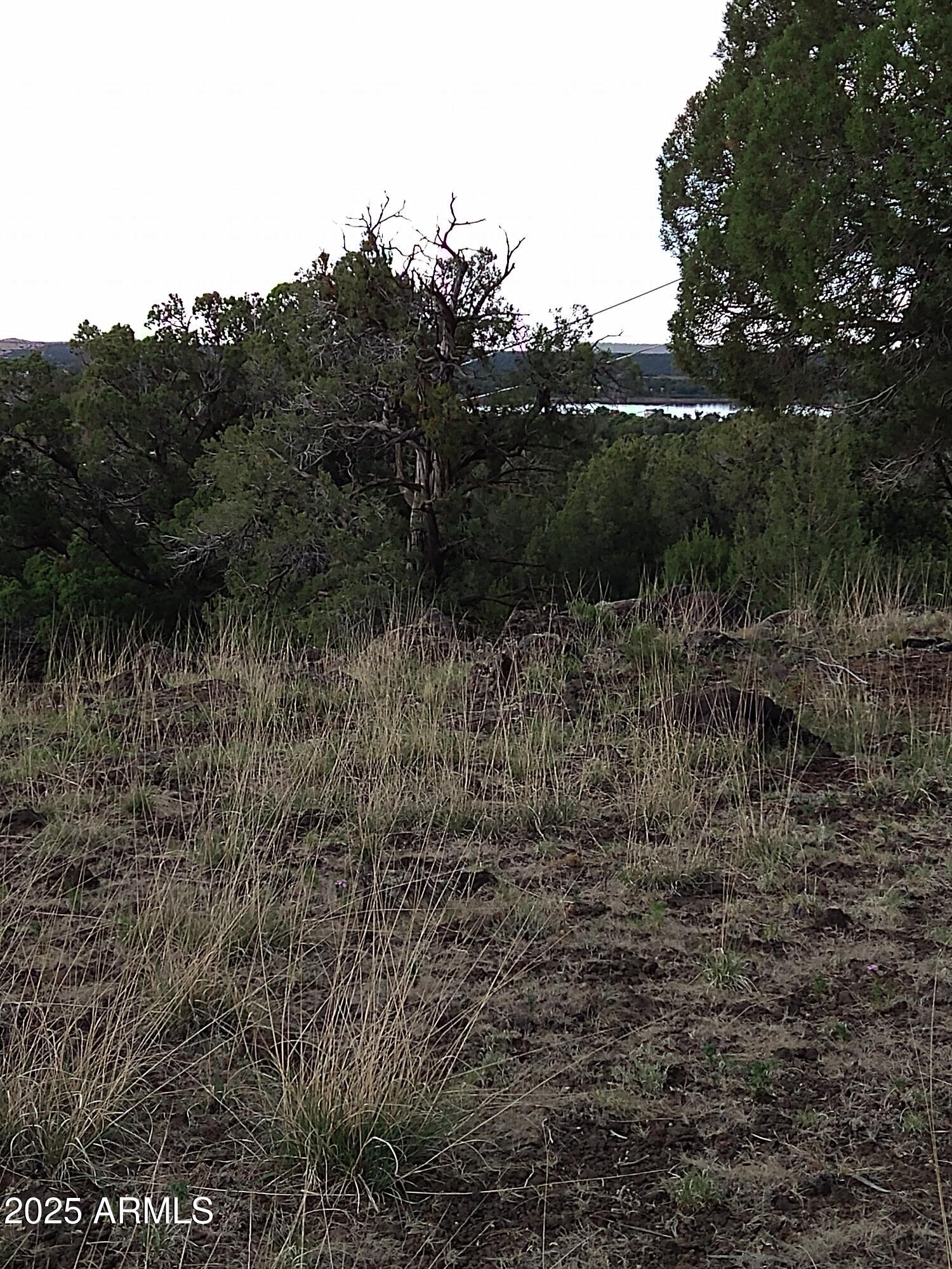 1827 Daggs Place, Unit 29 Show Low, AZ 85901 - Photo 15 of 22 a view of a lake with lots of trees