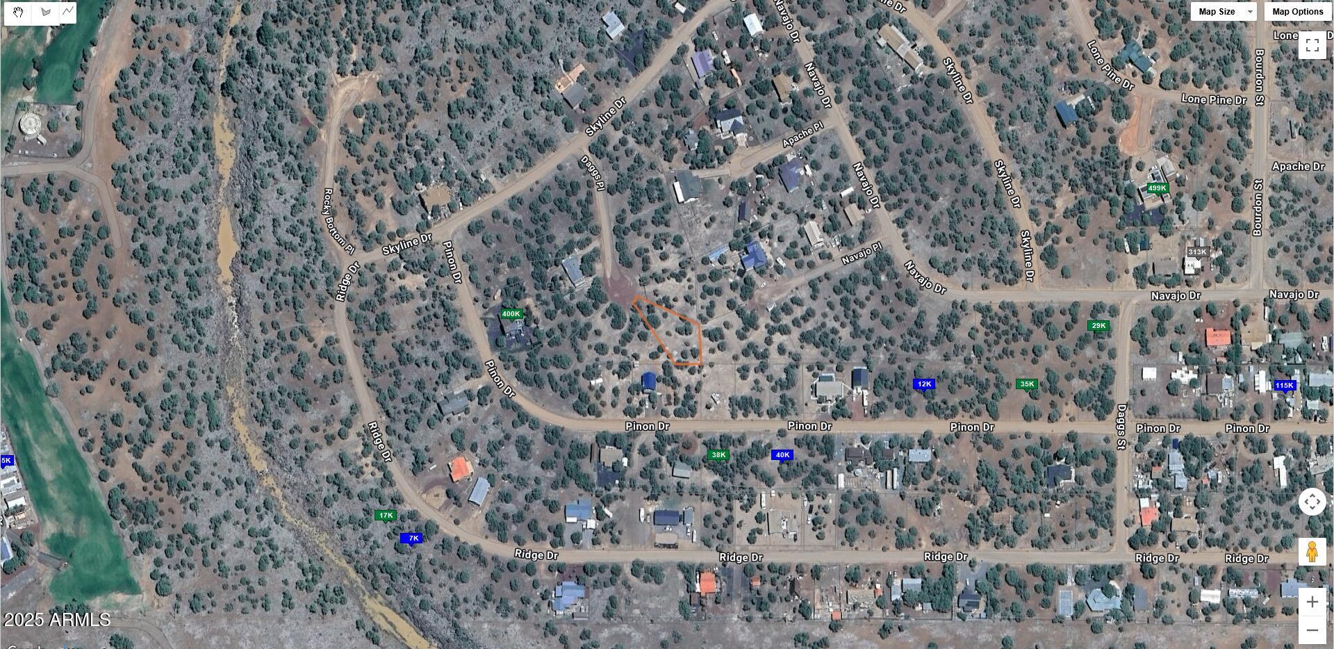 1827 Daggs Place, Unit 29 Show Low, AZ 85901 - Photo 17 of 22 a close up of a plant