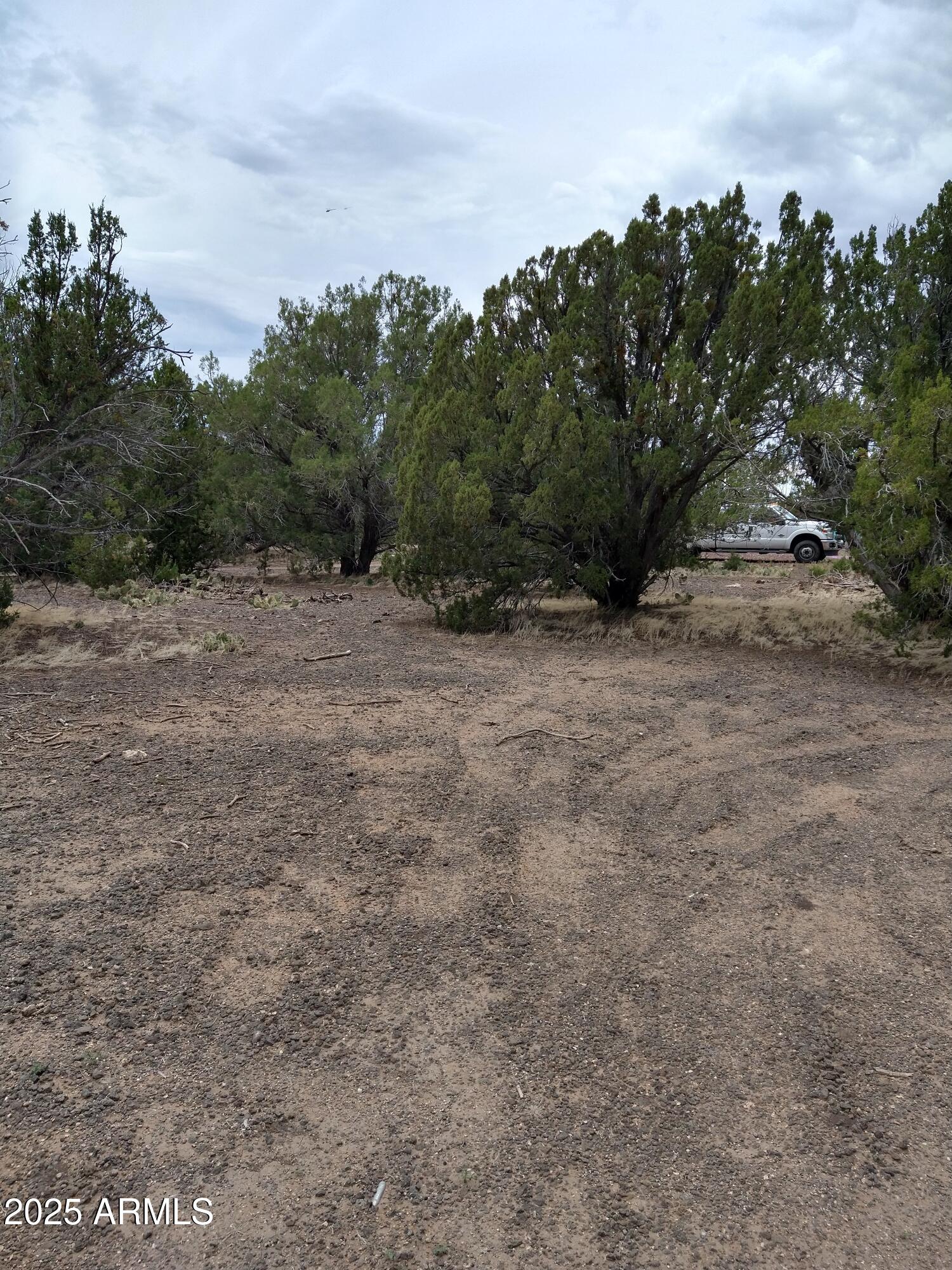 1827 Daggs Place, Unit 29 Show Low, AZ 85901 - Photo 3 of 22 a view of an outdoor space with trees