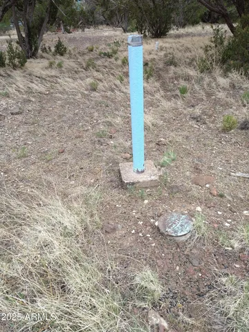 a view of a field with trees in background