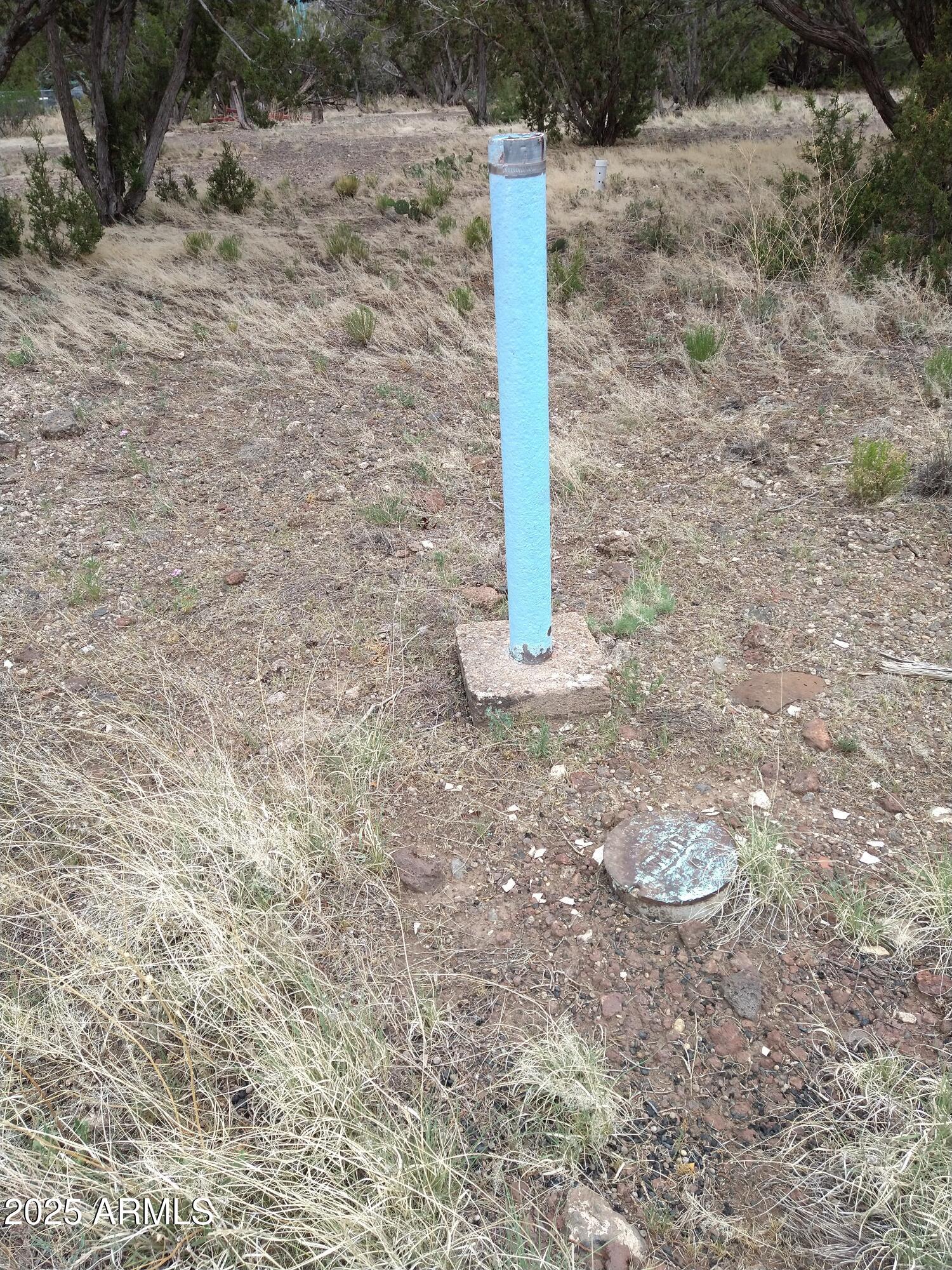 1827 Daggs Place, Unit 29 Show Low, AZ 85901 - Photo 4 of 22