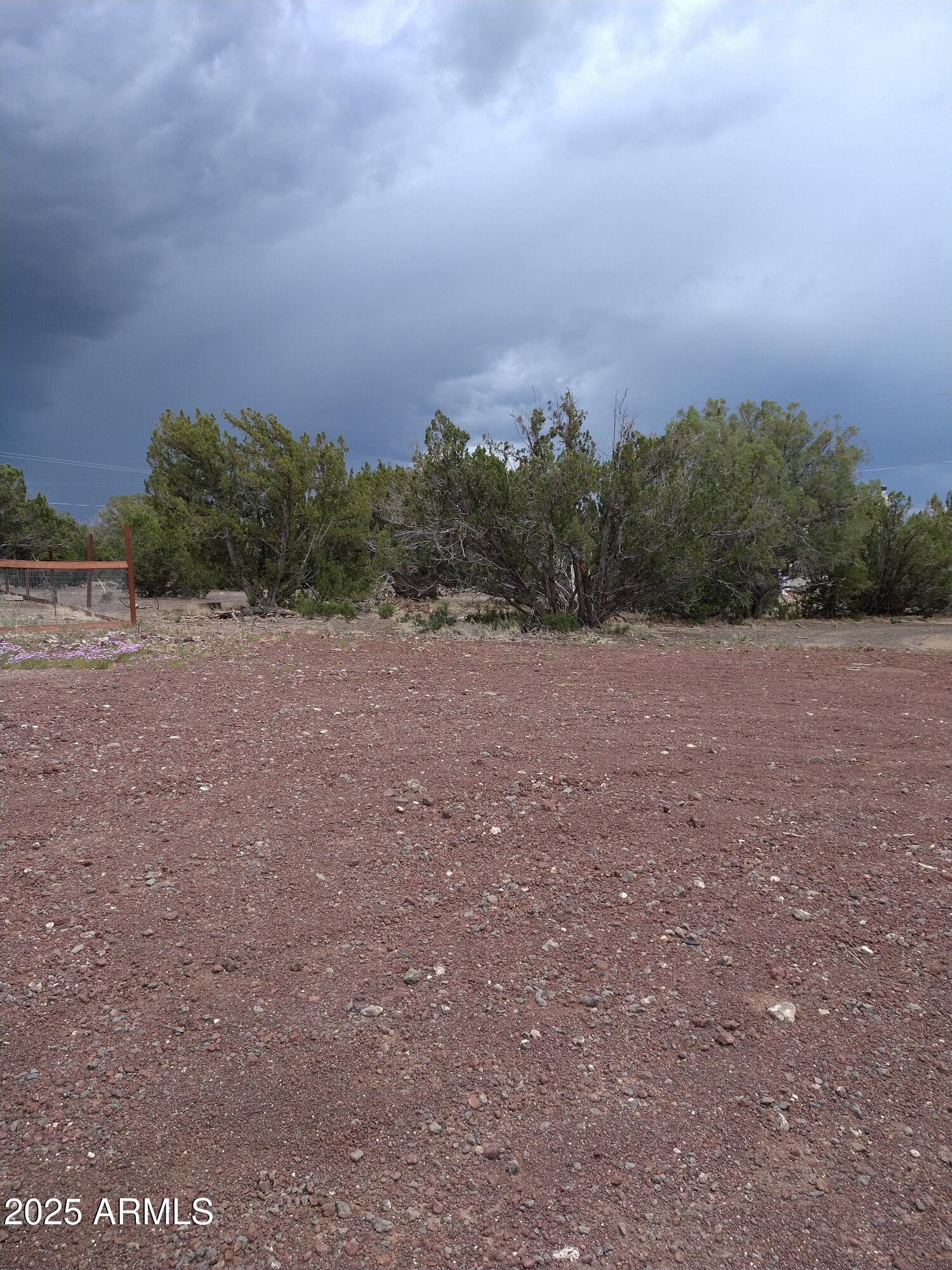 1827 Daggs Place, Unit 29 Show Low, AZ 85901 - Photo 5 of 22 a view of a field with trees in background
