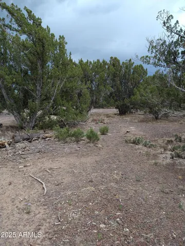 a view of a bird bath