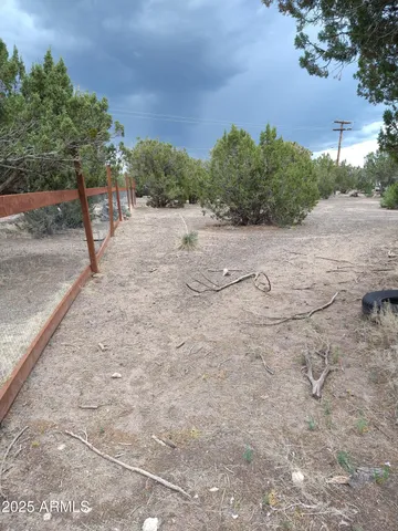 a view of a backyard with a tree