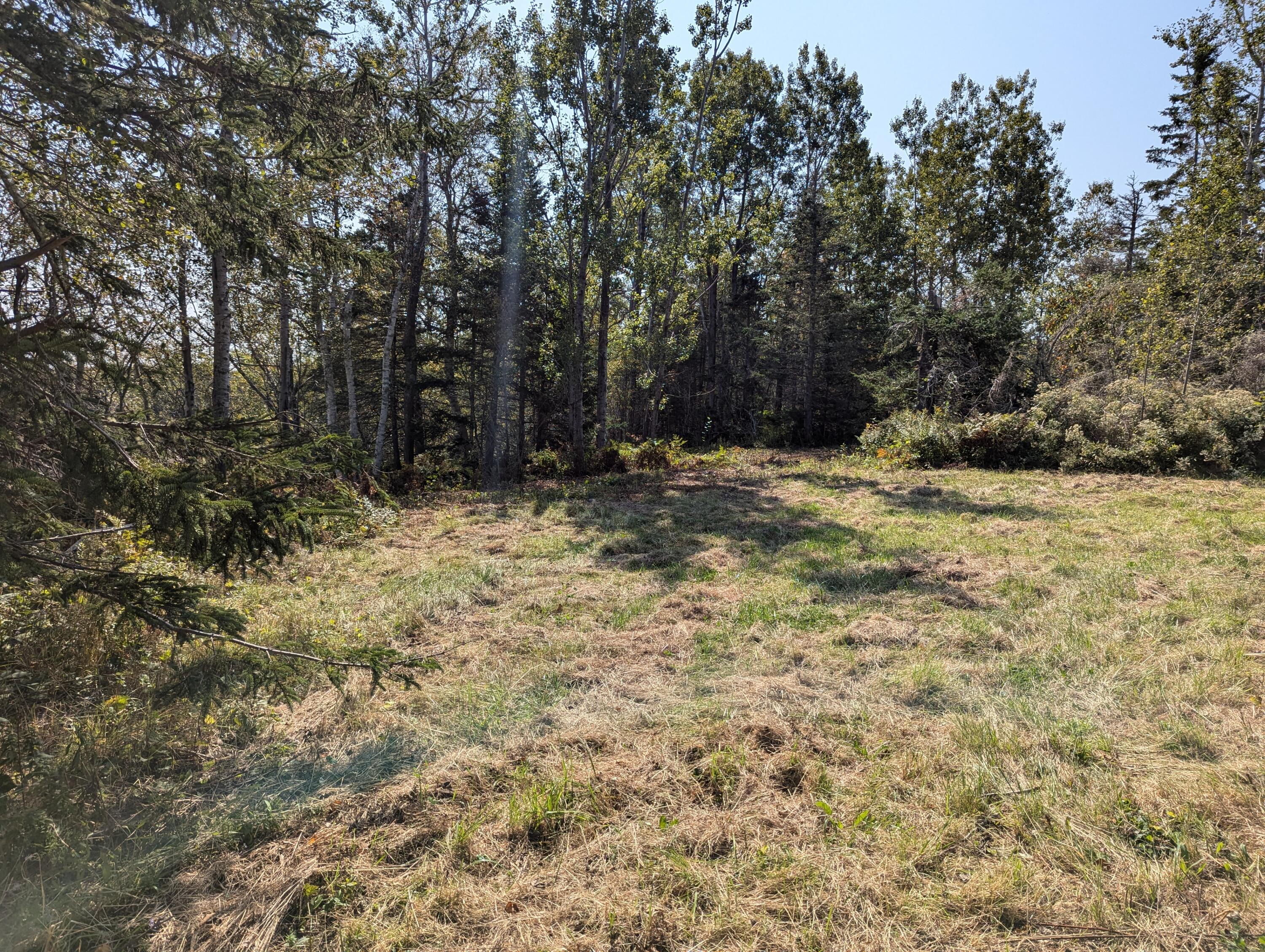 2 3 4 Birch Point Road Perry, ME 04667 - Photo 26 of 34
