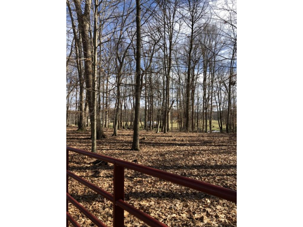 326 Sliger Road Jonesborough, TN 37659 - Photo 3 of 14 Photo 3