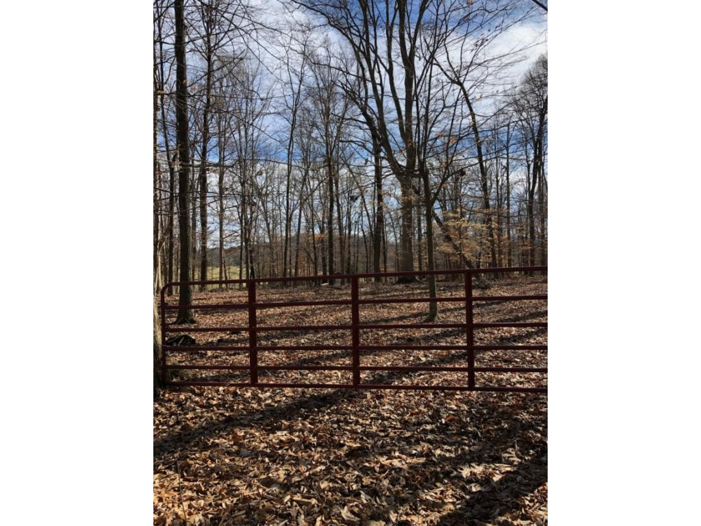 326 Sliger Road Jonesborough, TN 37659 - Photo 6 of 14 Photo 6