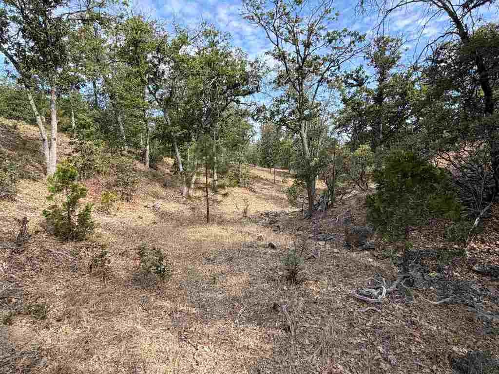 5920 Schulmeyer Road Yreka, CA 96097 - Photo 12 of 45 Gallery Image 12